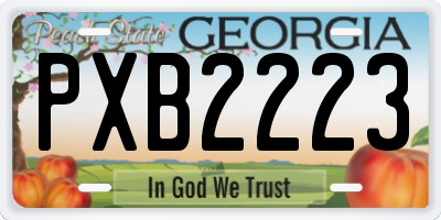 GA license plate PXB2223