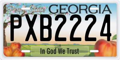 GA license plate PXB2224