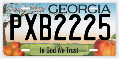 GA license plate PXB2225