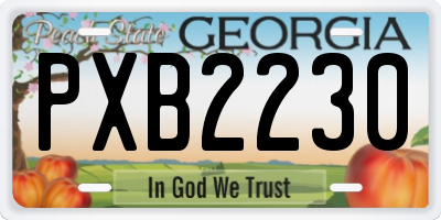 GA license plate PXB2230
