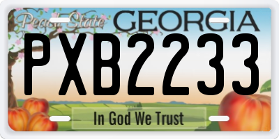 GA license plate PXB2233