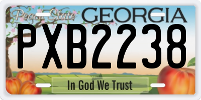 GA license plate PXB2238