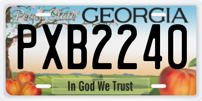 GA license plate PXB2240