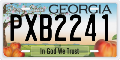 GA license plate PXB2241