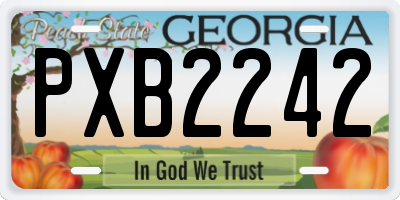 GA license plate PXB2242