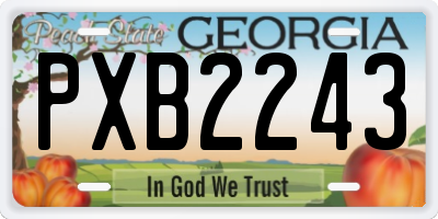 GA license plate PXB2243