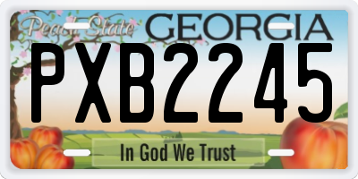 GA license plate PXB2245