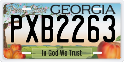 GA license plate PXB2263