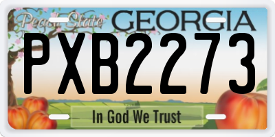 GA license plate PXB2273