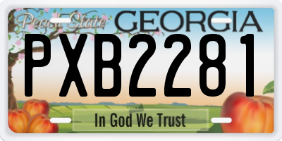 GA license plate PXB2281