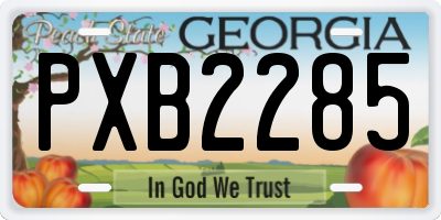 GA license plate PXB2285