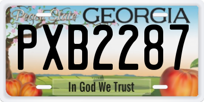 GA license plate PXB2287