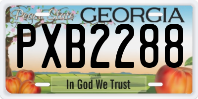 GA license plate PXB2288