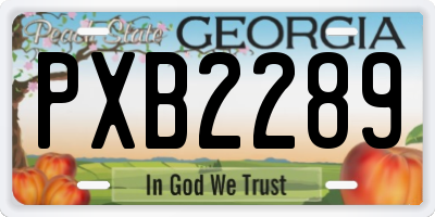 GA license plate PXB2289