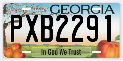 GA license plate PXB2291