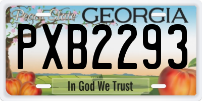 GA license plate PXB2293