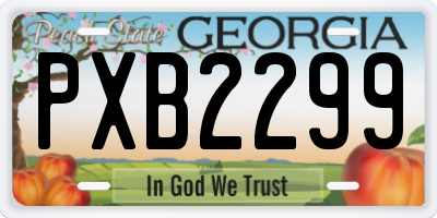 GA license plate PXB2299