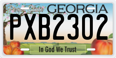 GA license plate PXB2302