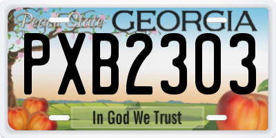 GA license plate PXB2303