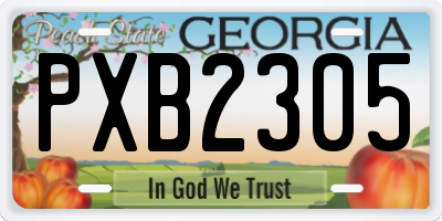 GA license plate PXB2305