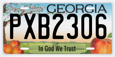 GA license plate PXB2306