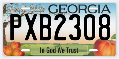 GA license plate PXB2308