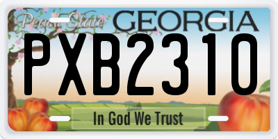 GA license plate PXB2310