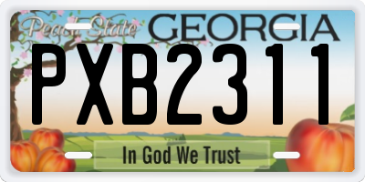 GA license plate PXB2311