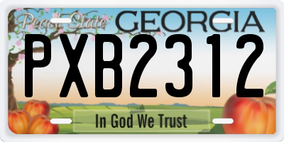 GA license plate PXB2312