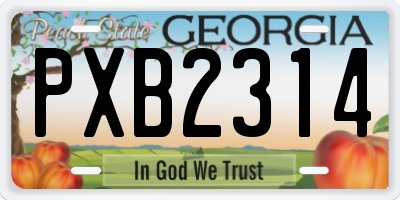 GA license plate PXB2314