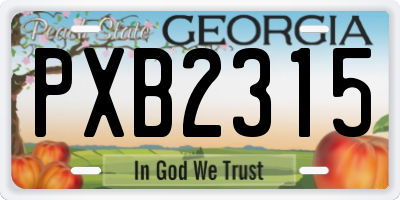 GA license plate PXB2315