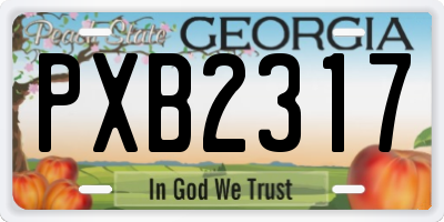 GA license plate PXB2317