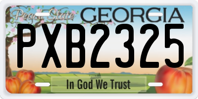 GA license plate PXB2325