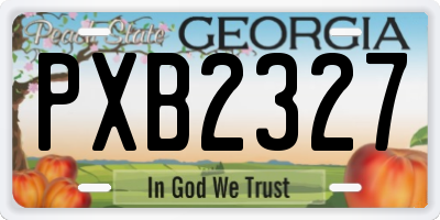 GA license plate PXB2327