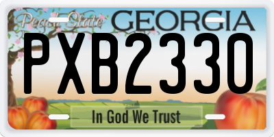 GA license plate PXB2330