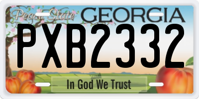 GA license plate PXB2332