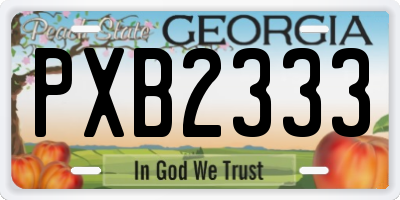 GA license plate PXB2333