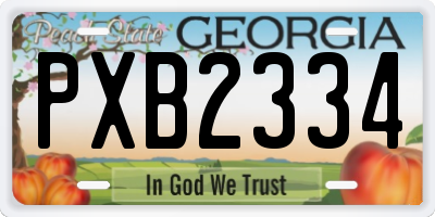 GA license plate PXB2334