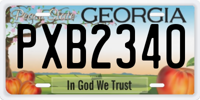 GA license plate PXB2340