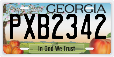 GA license plate PXB2342