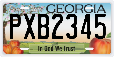 GA license plate PXB2345