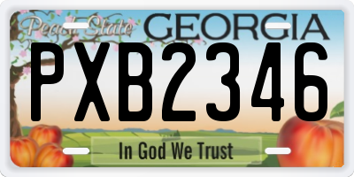 GA license plate PXB2346