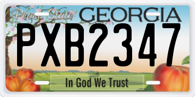 GA license plate PXB2347