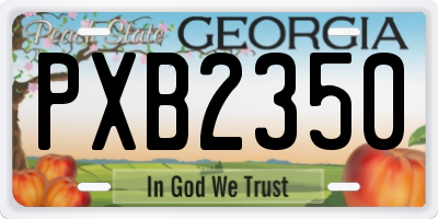 GA license plate PXB2350