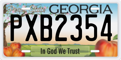 GA license plate PXB2354