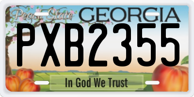 GA license plate PXB2355