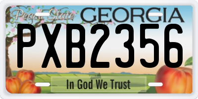 GA license plate PXB2356
