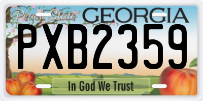GA license plate PXB2359