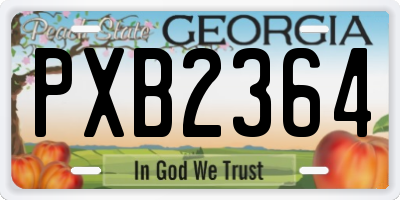 GA license plate PXB2364