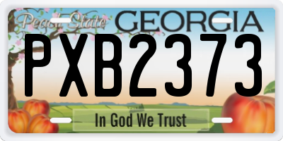 GA license plate PXB2373